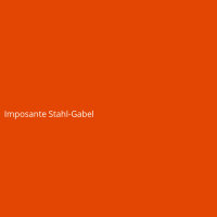 Imposante Stahl-Gabel